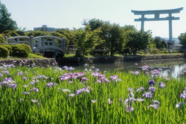 長岡天満宮の概要